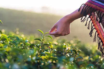 From Pollution To Prayer: Healing The Earth Through Inner Awakening