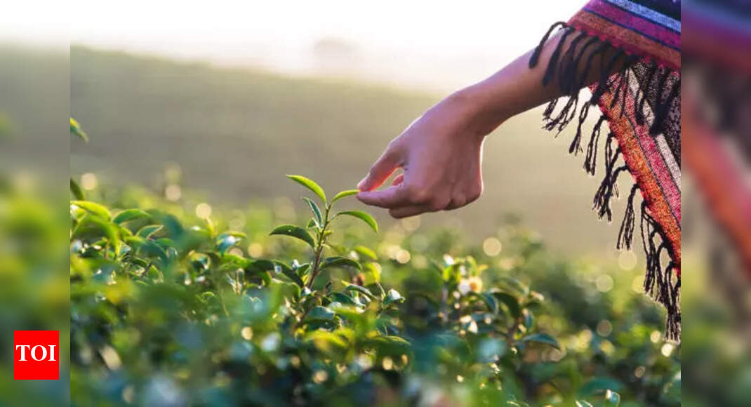 From Pollution To Prayer: Healing The Earth Through Inner Awakening