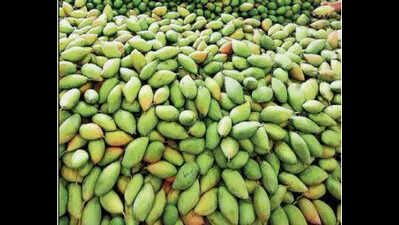 Mold, pests hit mango pulp & jelly production