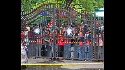 Government tells court RCB’s relentless tweeting resulted in Bengaluru stampede