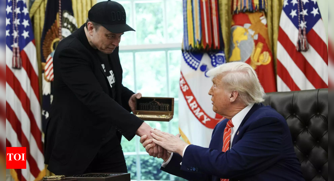 'If I were him ... ': Donald Trump on planning to speak to Elon Musk on phone; watch video