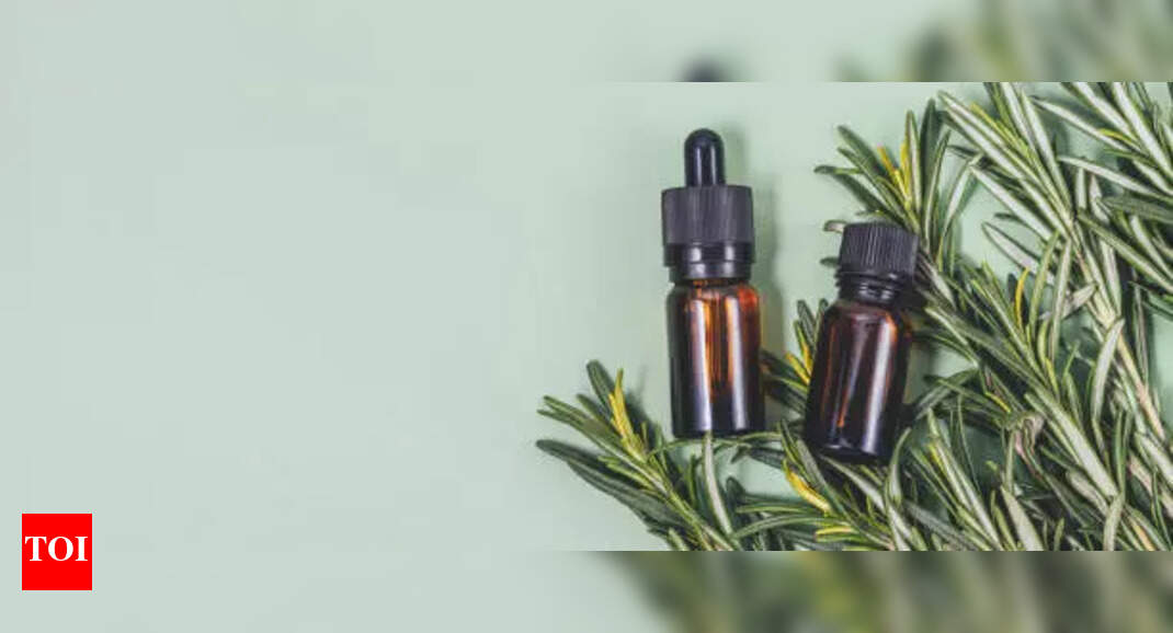 How to make Rosemary Oil serum for quick hair regrowth