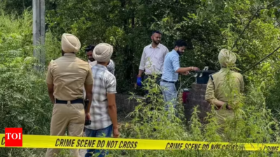 Odisha man accused of serial sexual assault hacked to death by survivors; body burned in forest