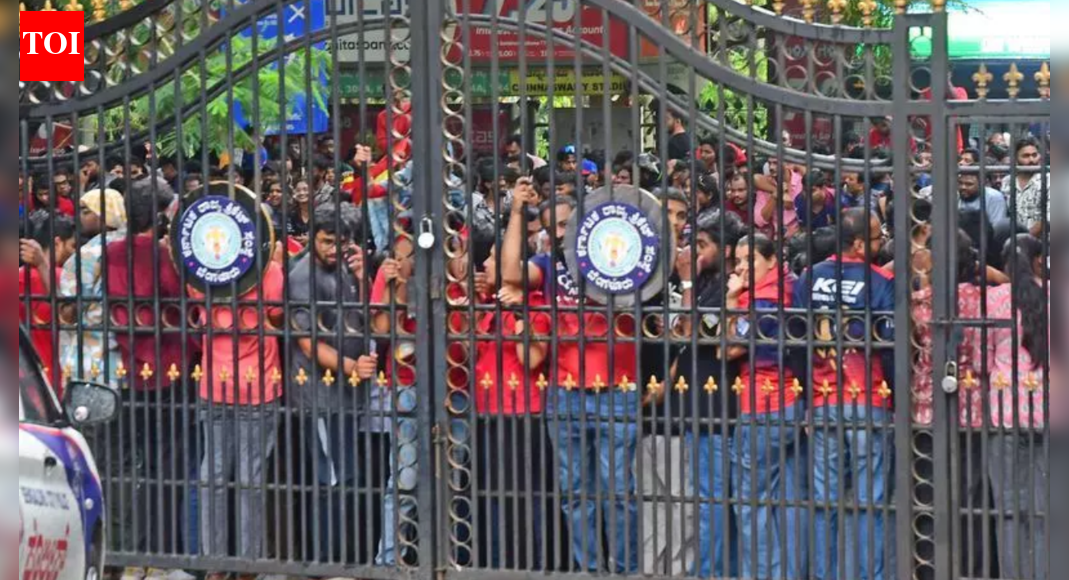 Karnataka govt blames RCB for stampede, tells HC victory rally tweets ...