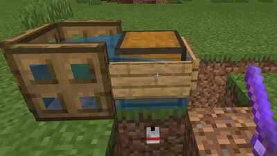 5 Minecraft Farms to Build Early