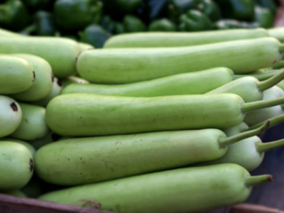 Bottle gourd adulteration: 4 ways to check purity at home