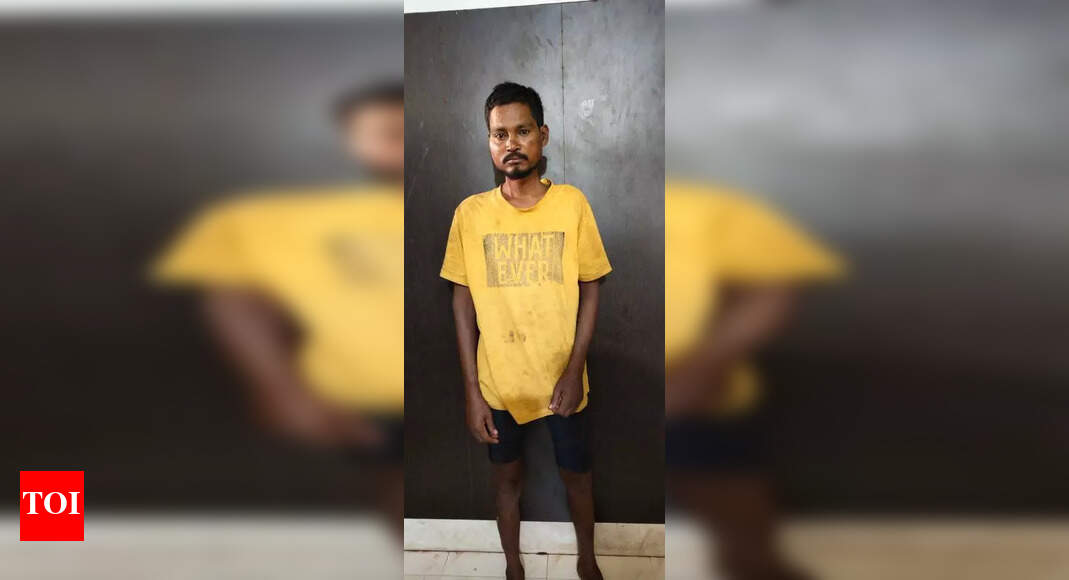Man arrested for wife’s murder | Bhubaneswar News - Times of India