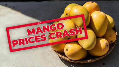 The decline in mango prices can be attributed to increased production and early harvesting. (AI image) Mango prices plunge! 'King of fruits' now available at just Rs 40-45 per kg; rates unlikely to go up soon