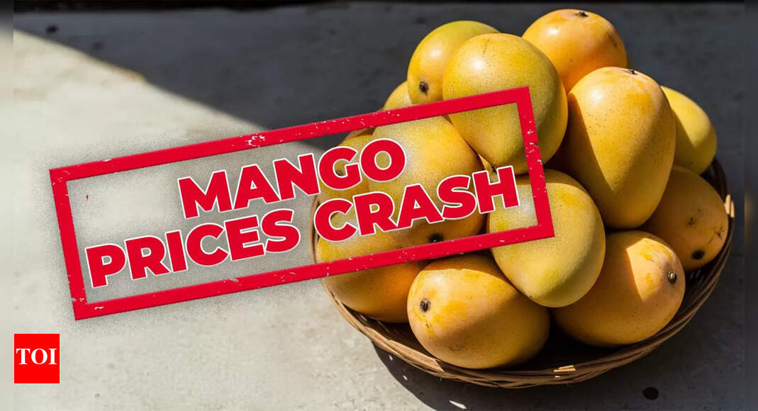 Mango prices plunge! 'King of fruits' now available at just Rs 40-45 per kg; rates unlikely to go up soon