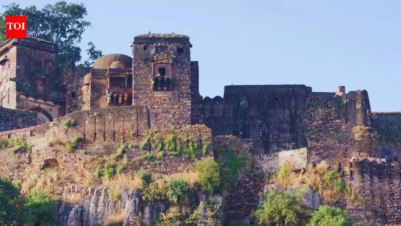 Ranthambore beyond tigers: Explore 5 unique experiences