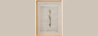 Contemporary art show in Mumbai to explore truth and perception