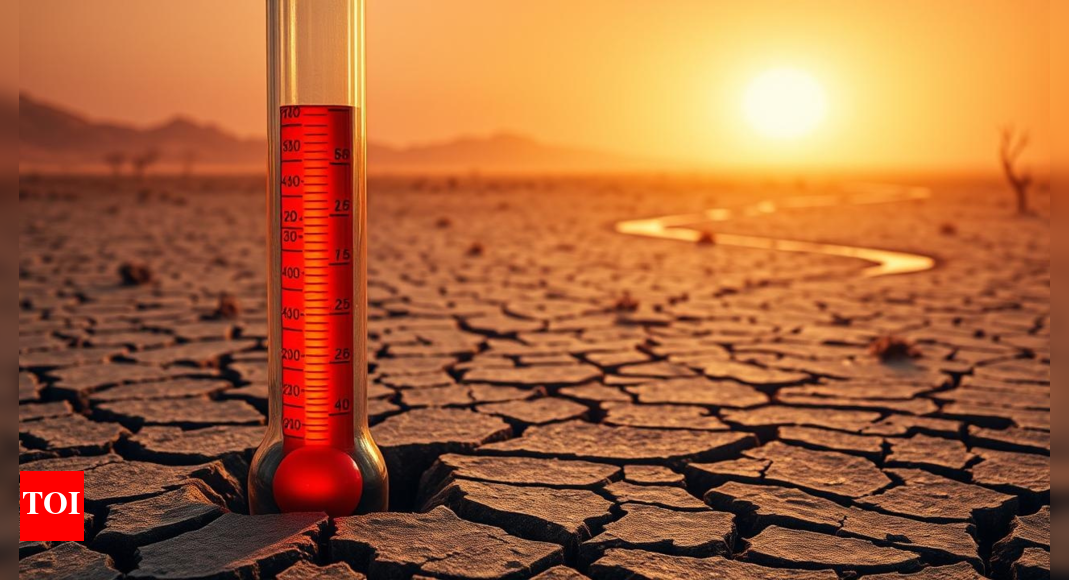 Earth heats up again: May 2025 becomes second-hottest ever recorded; EU flags worsening climate trend - The Times of India