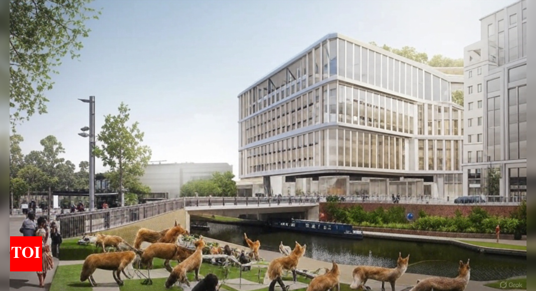 How and why Foxes are a problem for Google's biggest office in London