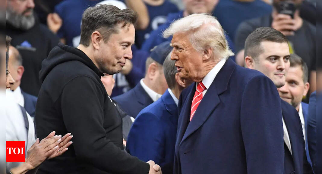 Musk's Shift: Trump's Mellow Response After Musk's Support Emerges