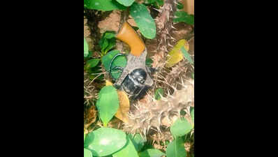 Cracker pistol found in flowerpot near Karnataka labour minister’s office in Bengaluru