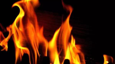 J&K assembly fire destroys historic photos