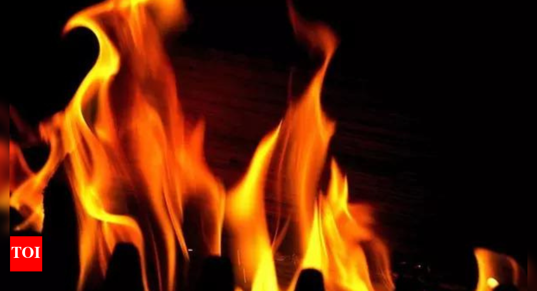 J&K assembly fire destroys historic photos