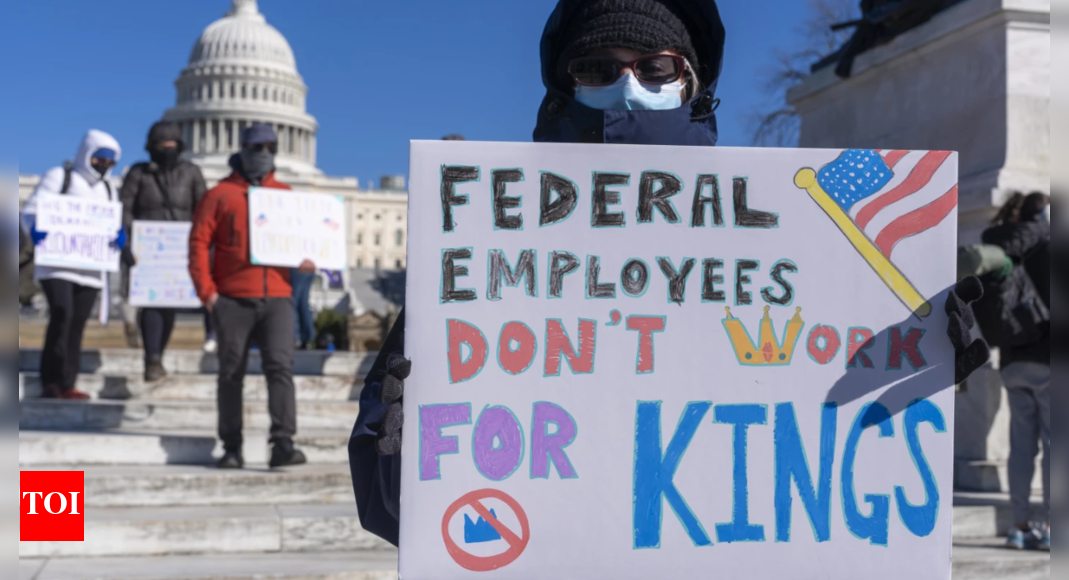 Reject authoritarianism, billionaire-first politics: What is 'No Kings' protest against Trump? Explained