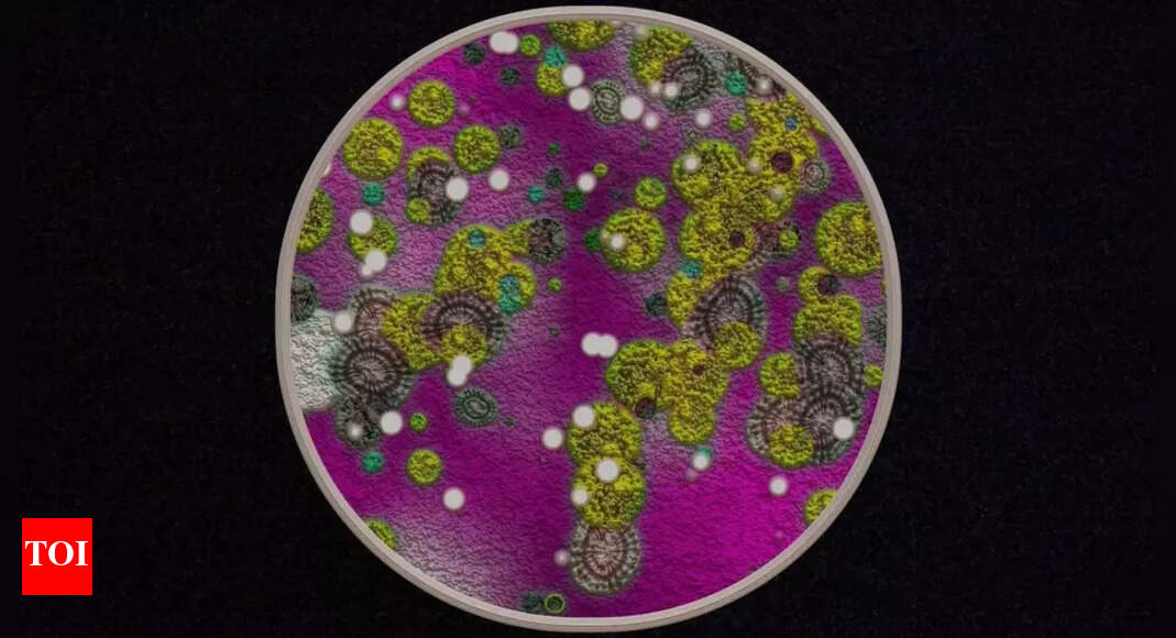Revolutionary Gold-Eating Fungus Discovered: A Breakthrough in Underground Resource Detection