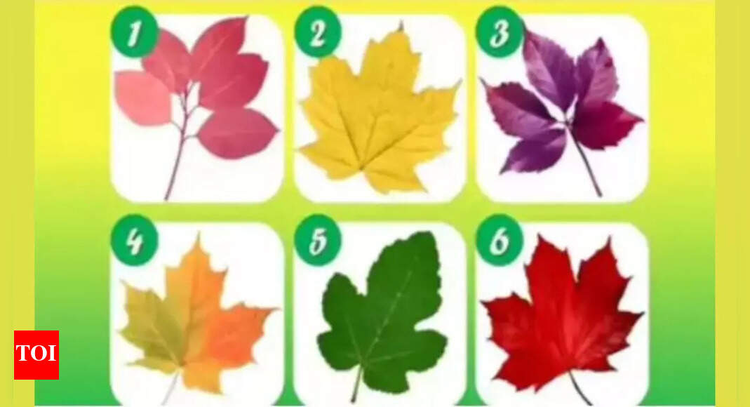 Personality Test: Pick a leaf and discover the unique reason people rely on you | – Times of India