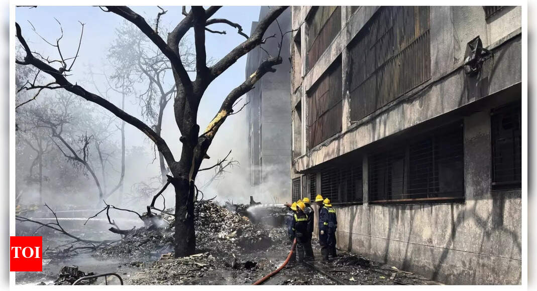 Ahmedabad plane crash: 169 Indians, 53 British nationals - Who all were onboard Air India 171