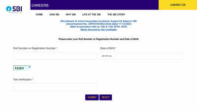 SBI Clerk Mains Score Card 2025 released at sbi.co.in, check your scores and marks here – Times of India