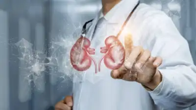 Can creatine damage your kidneys? Myths, facts, and what you need to watch out for