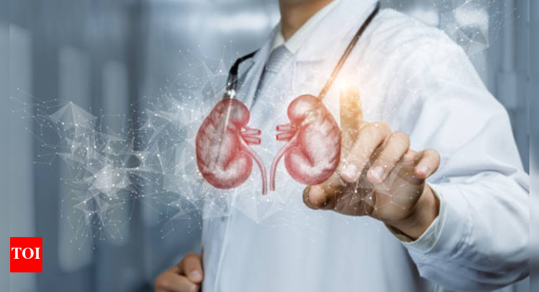 Can creatine damage your kidneys? Myths, facts, and what you need to watch out for | – Times of India