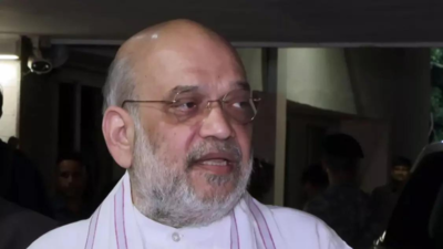 Ahmedabad plane crash: Amit Shah says couldn't save lives due to heat after crash; confirms one person survived