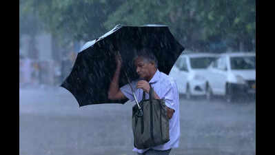 Rainfall drops sharply in Telangana after wet May; even 4 to 5 days of good rain now may not erase deficit, says Telangana State Development Planning Society