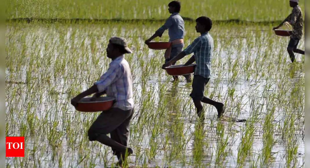 PM-Kisan 20th instalment: When is the next payment date in June; check beneficiary status