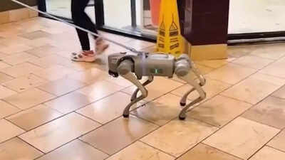  Futuristic or Frightening? Robot dog's mall visit sparks debate