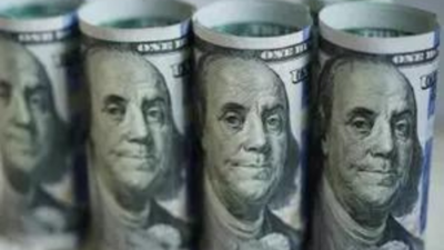 Forex buffer strengthens: India’s forex reserves rise $5.17 billion to $696.65 billion; gold, FCAs drive gain