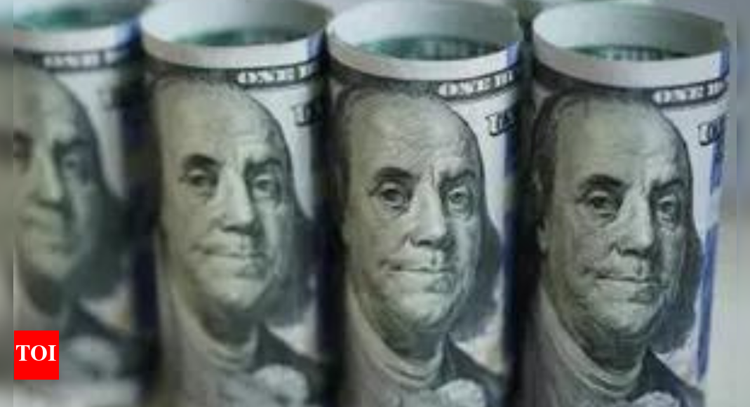 Forex buffer strengthens: India’s forex reserves rise $5.17 billion to $696.65 billion; gold, FCAs drive gain