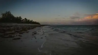 UN summit to end with boost for ocean conservation