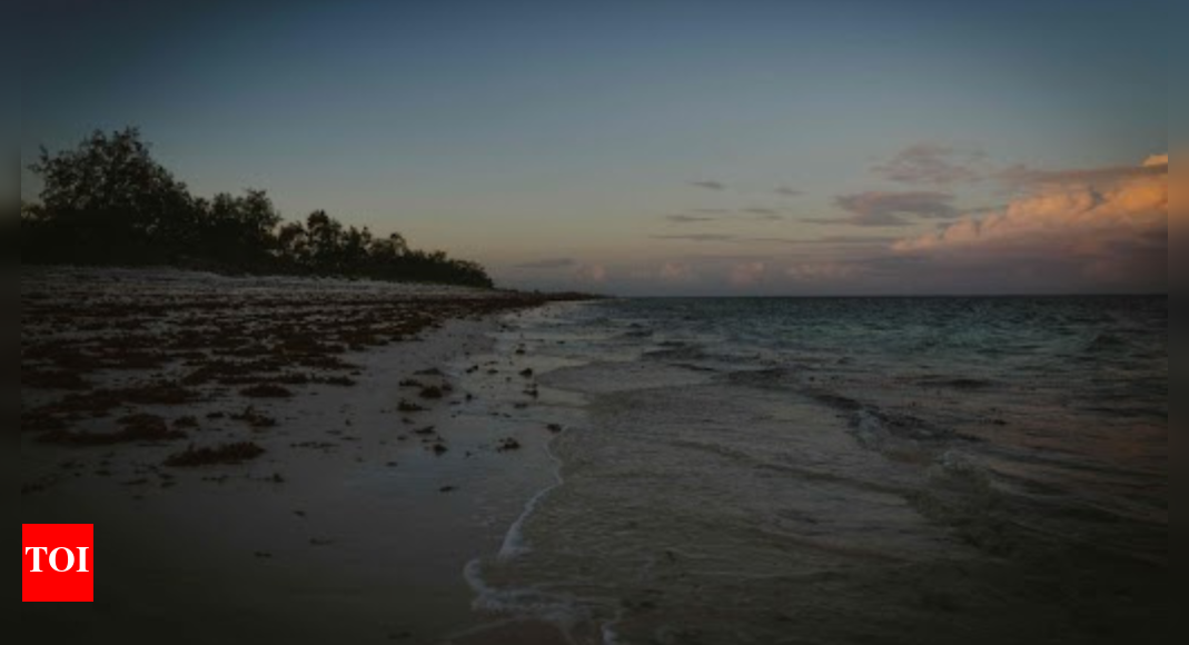 UN summit to end with boost for ocean conservation | – The Times of India