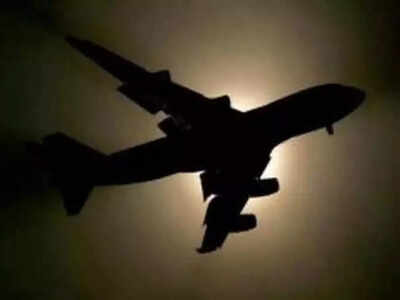 ‘Bird hit' grounds Air India Express plane in Bangkok; may fly to Surat on Saturday