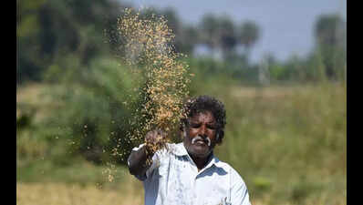 Telangana to bar spurious seed ‘organisers’ under new law