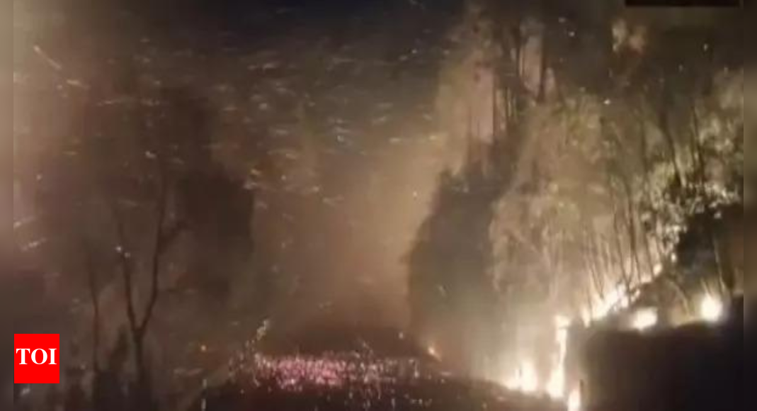 J&K: Massive forest fire breaks out in Reasi; firefighting efforts underway