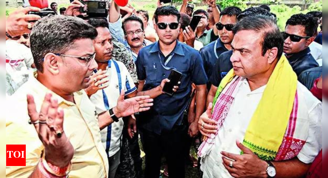 Shoot-at-sight order at Assam border amid communal unrest