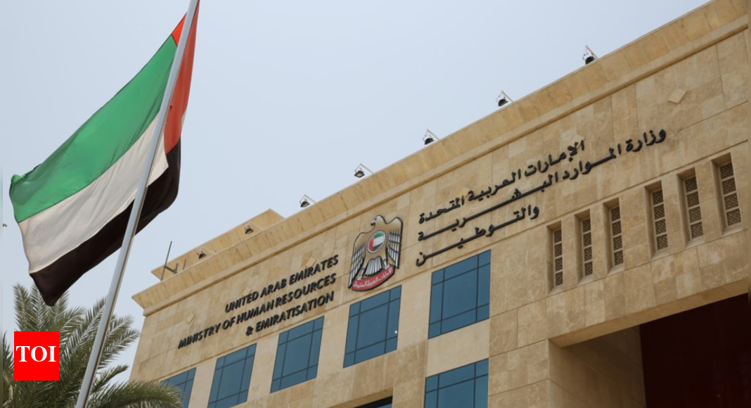 In UAE, AI now issues work permits in seconds, zero bureaucracy, zero paperwork