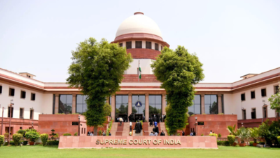Supreme Court Rules TV Anchor Not Liable for Panelist's Remarks