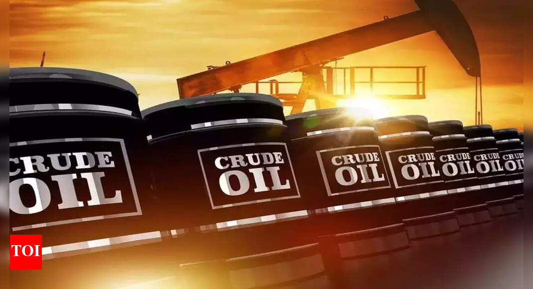 Oil prices, freight rates may pinch economy