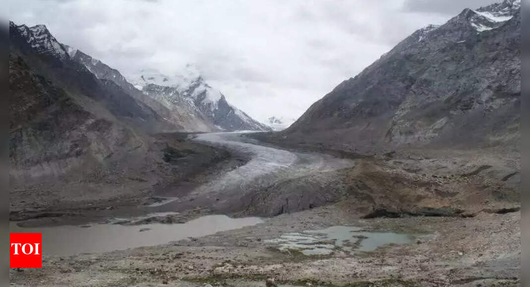 Ladakh glacier losing ice rapidly: ‘Milestone study’ led by IIT scientist