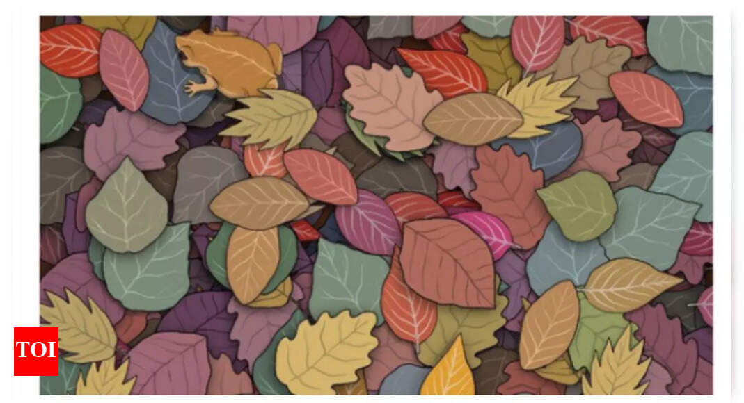 Optical illusion: Think you have sharp eyesight? Spot the frog in this picture in under 5 seconds! – Times of India