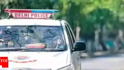 Man Stabbed to Death in Delhi Over Mobile Phone Snatching
