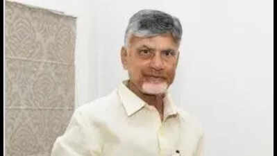 CM Naidu for zero tolerance structure against corruption