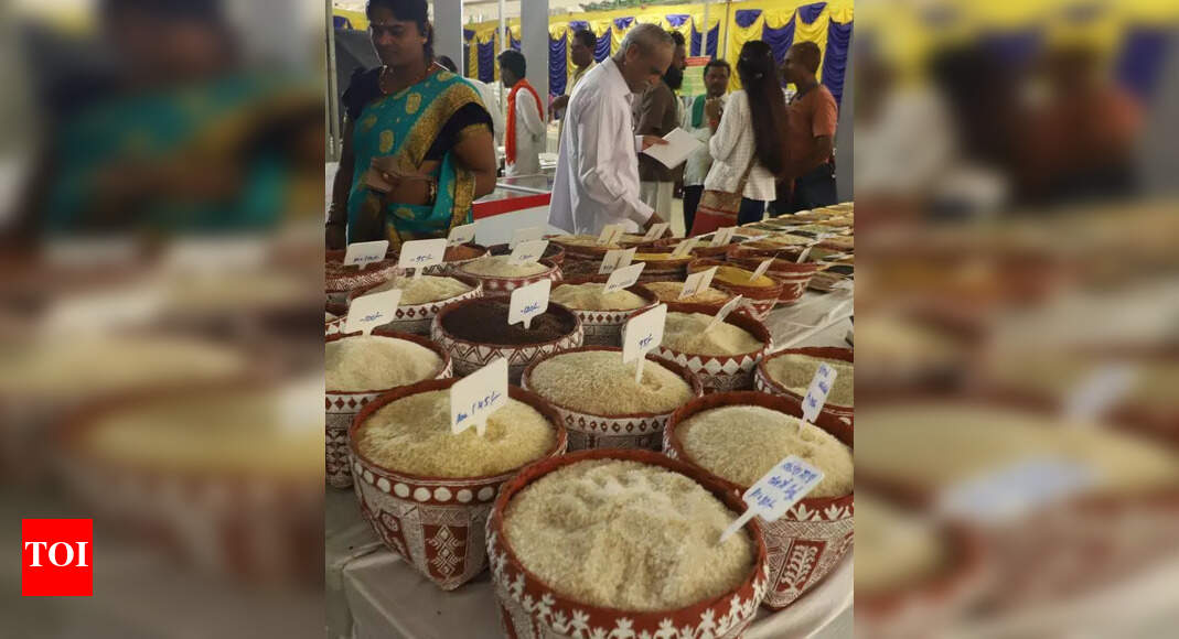 Millet Magic: How 3,000 farmers sowed life on parched lands in ...
