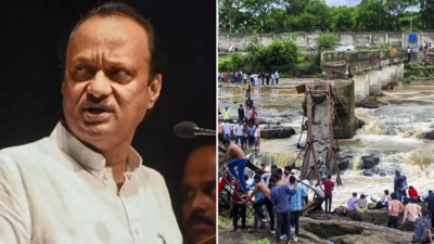 Pune bridge tragedy: Rust, overcrowding or neglect - What caused the collapse? Probe under way