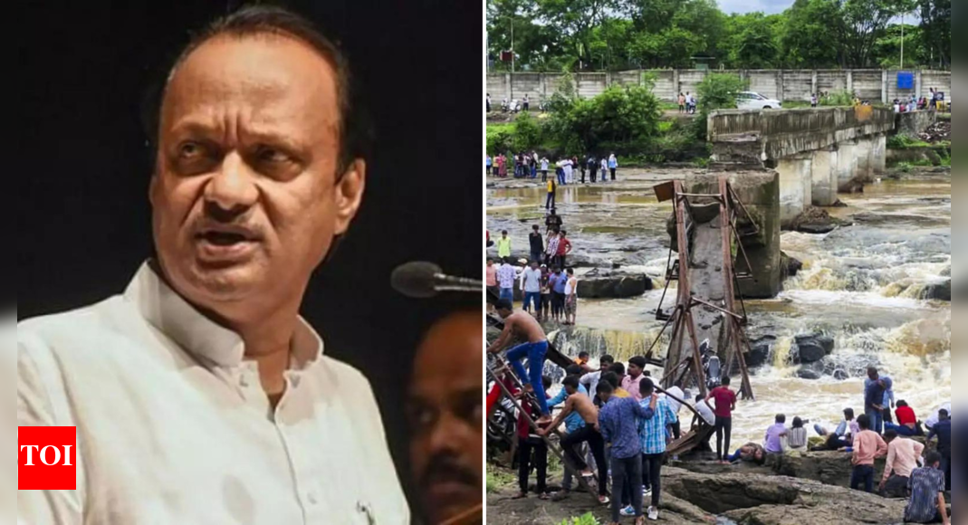Pune bridge tragedy: Rust, overcrowding or neglect - What caused the collapse? Probe under way